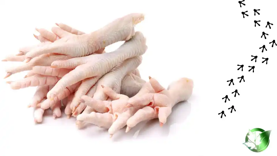 Vendor evaluation for Chicken Feet should cover specification, packaging, documentation, logistics, and complete delivered expense.